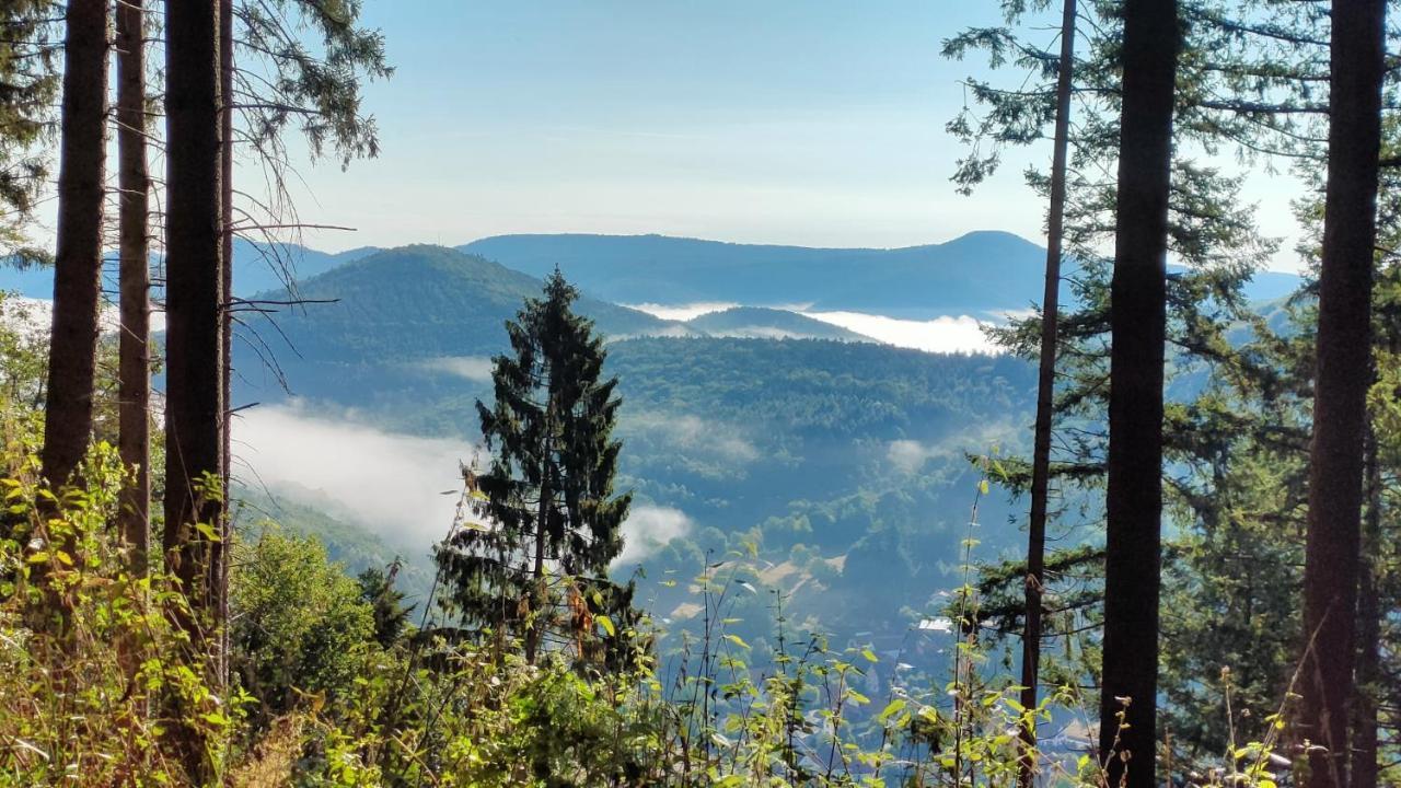 Gite Pour 2 Wingen Kültér fotó